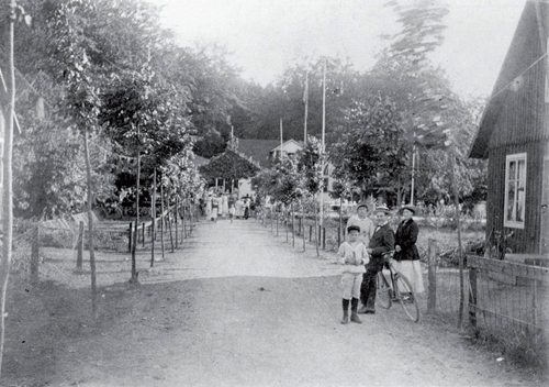 Tornsborg på 20-talet. Allén planterades 1912 Foto från Riseberga -Färingtofta hembygdsförening