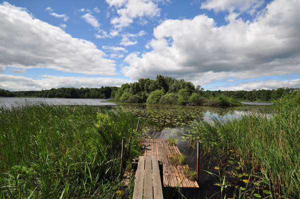 Vaxsjön i juni Foto: Bengt Hertzman