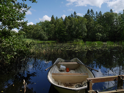 Vasasjön Foto: Torgny Fridlund